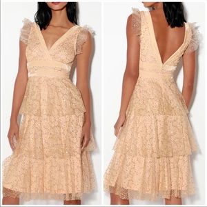 Blush Gold Tulle Tiered Sequin Midi Dress w Velvet Detail Lining